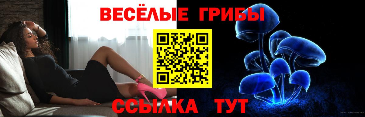 Галлюциногенные грибы мухоморы  Вход с VPN  хочу наркоту  Псилоцибиновые грибы Cubensis  Советский 